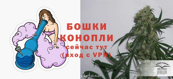 гидра Белоозёрский