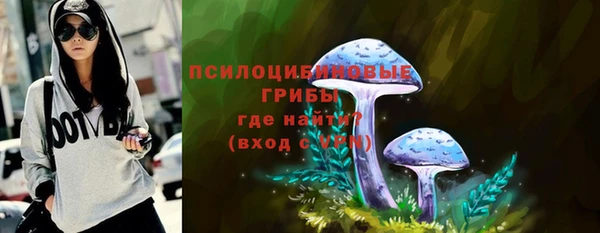 дмт Белокуриха