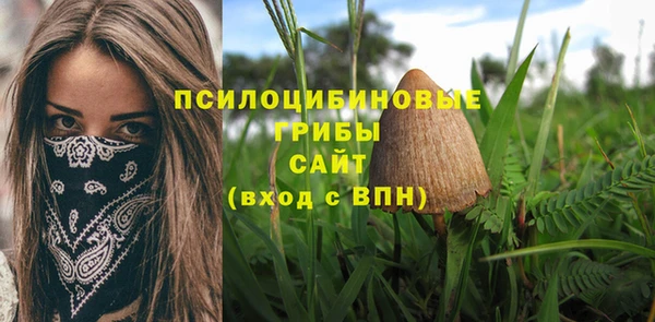 дмт Белокуриха