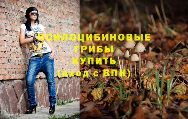дмт Белокуриха