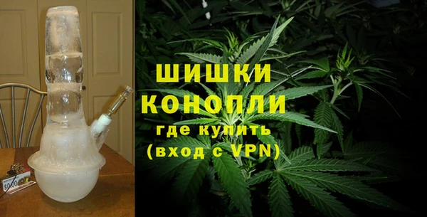 дмт Белокуриха