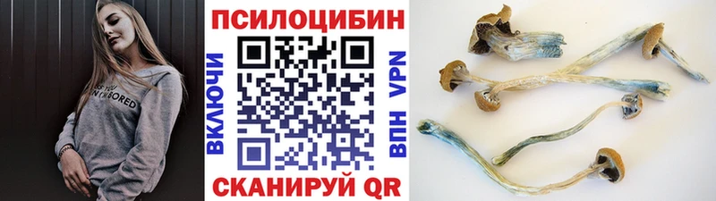 Галлюциногенные грибы Cubensis  Новый Уренгой 